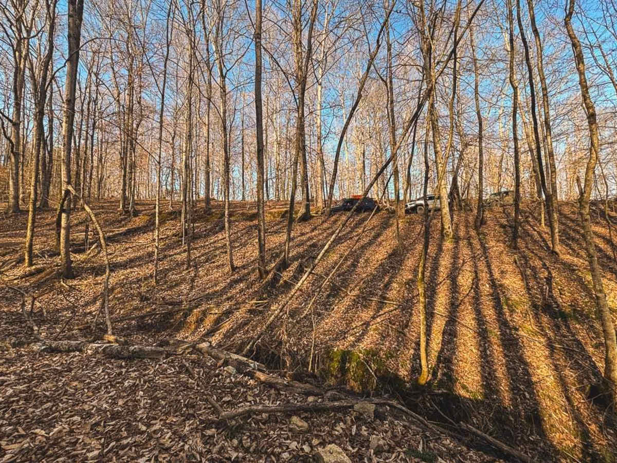 Hance Hollow Road - Macon County Tour trail photo