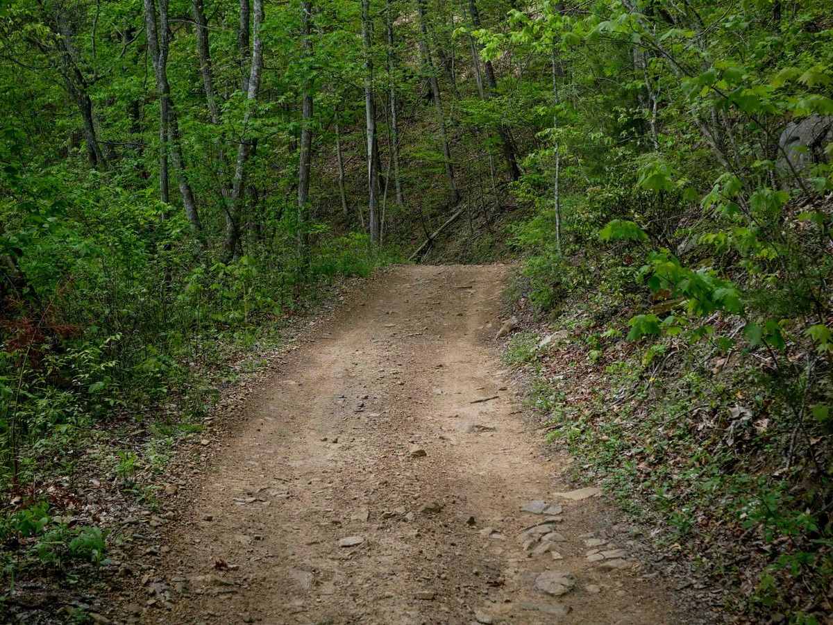 PC 15 trail photo