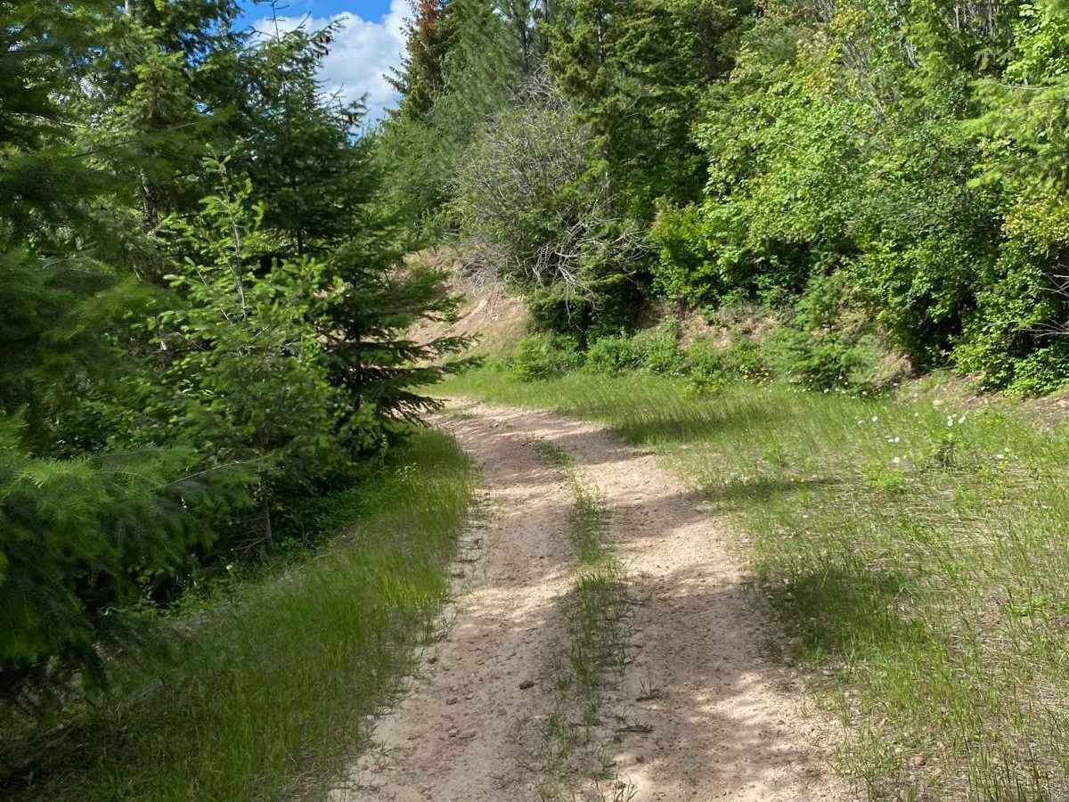 Ruby Creek C photo 5