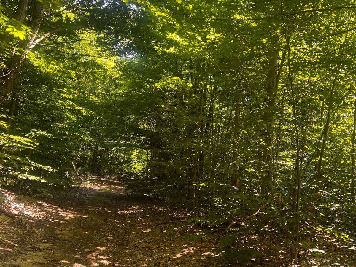 NFS 5269 photo 3
