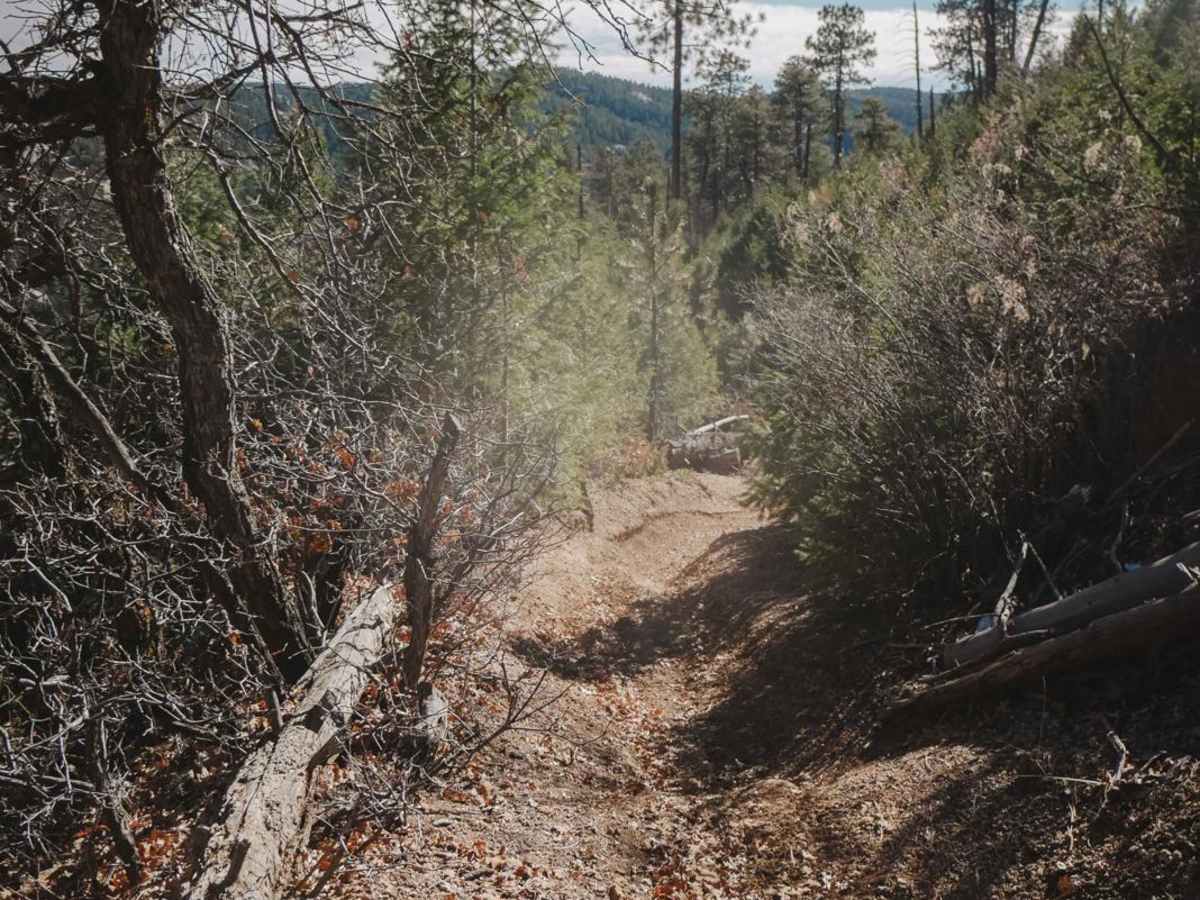 654 Roi Tan ATV Trail photo 5