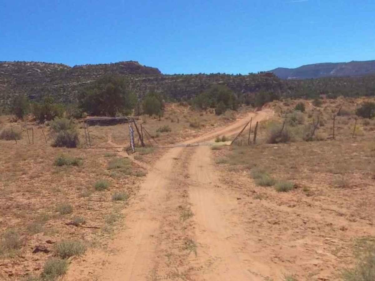 Beef Basin Road Loop - San Juan County B104 photo 6