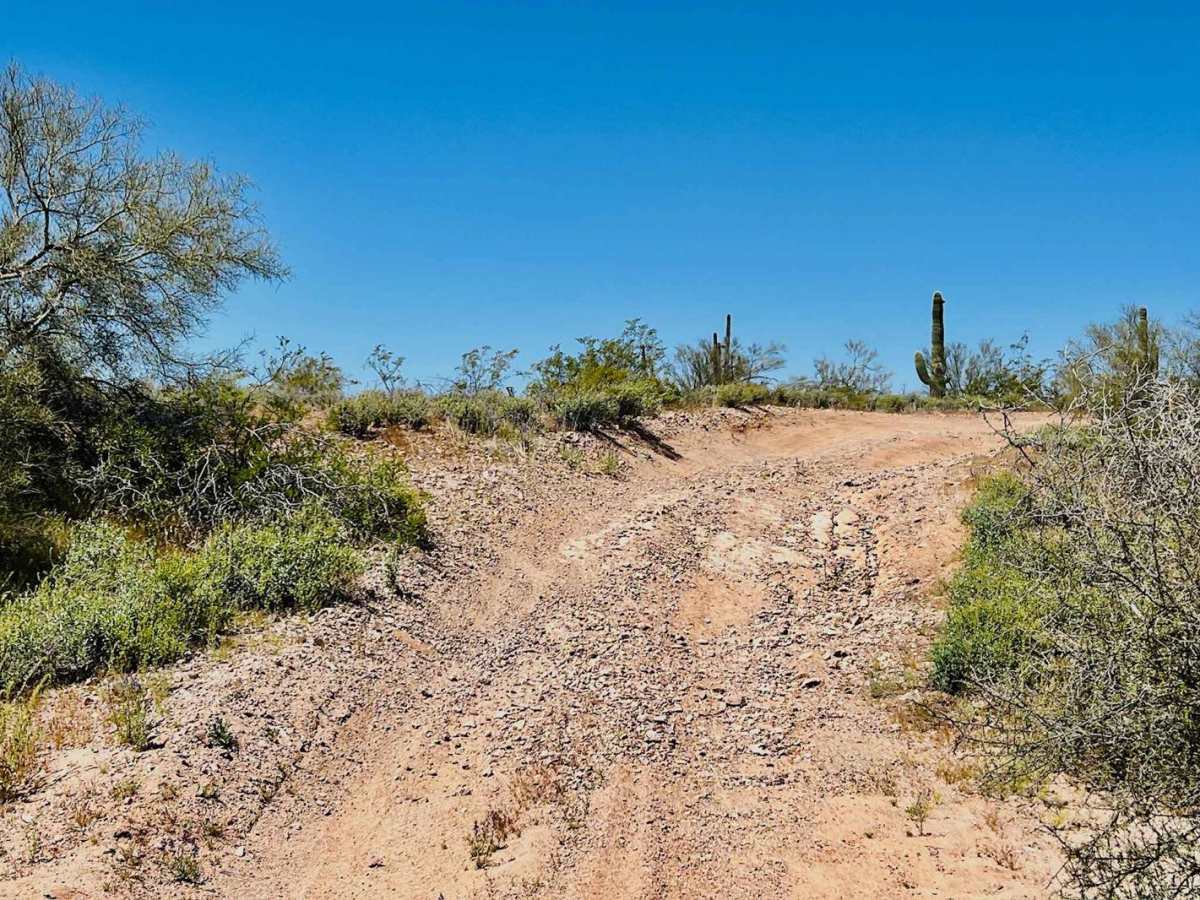 9089 OHV Whoops photo 5