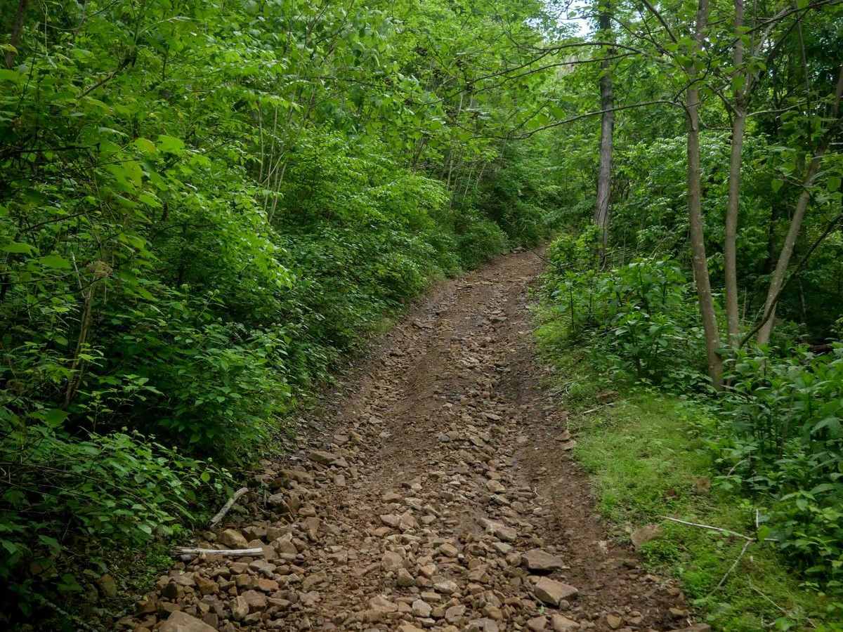 B67 trail photo