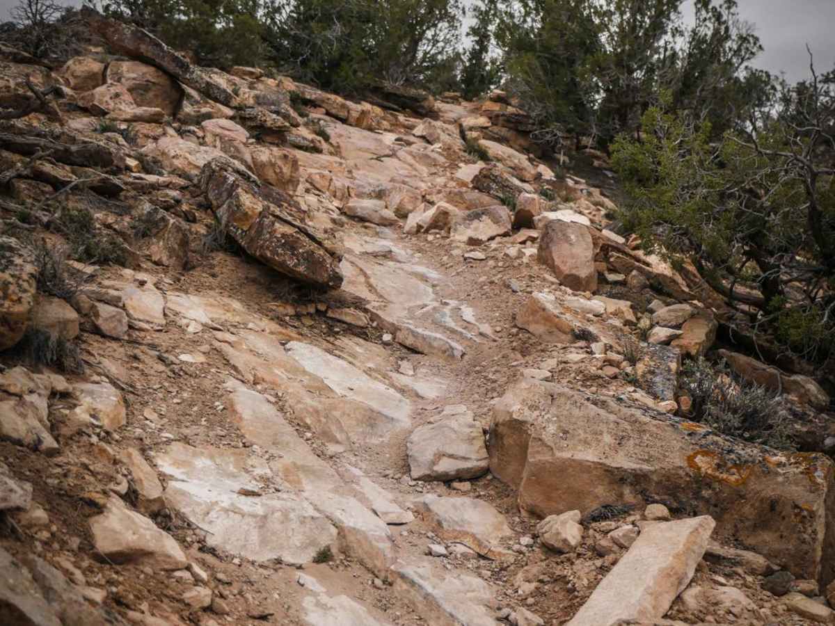 Black Ridge trail photo