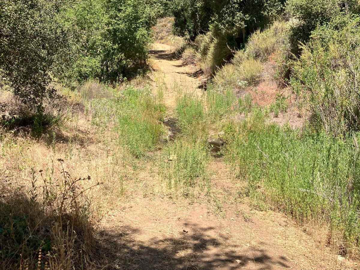 Cedar Creek Loop photo 4