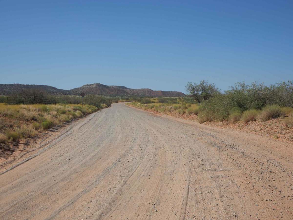 Bill Gray View trail photo