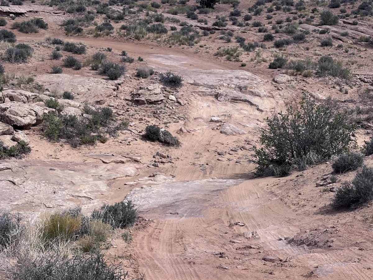 D2652 photo 6