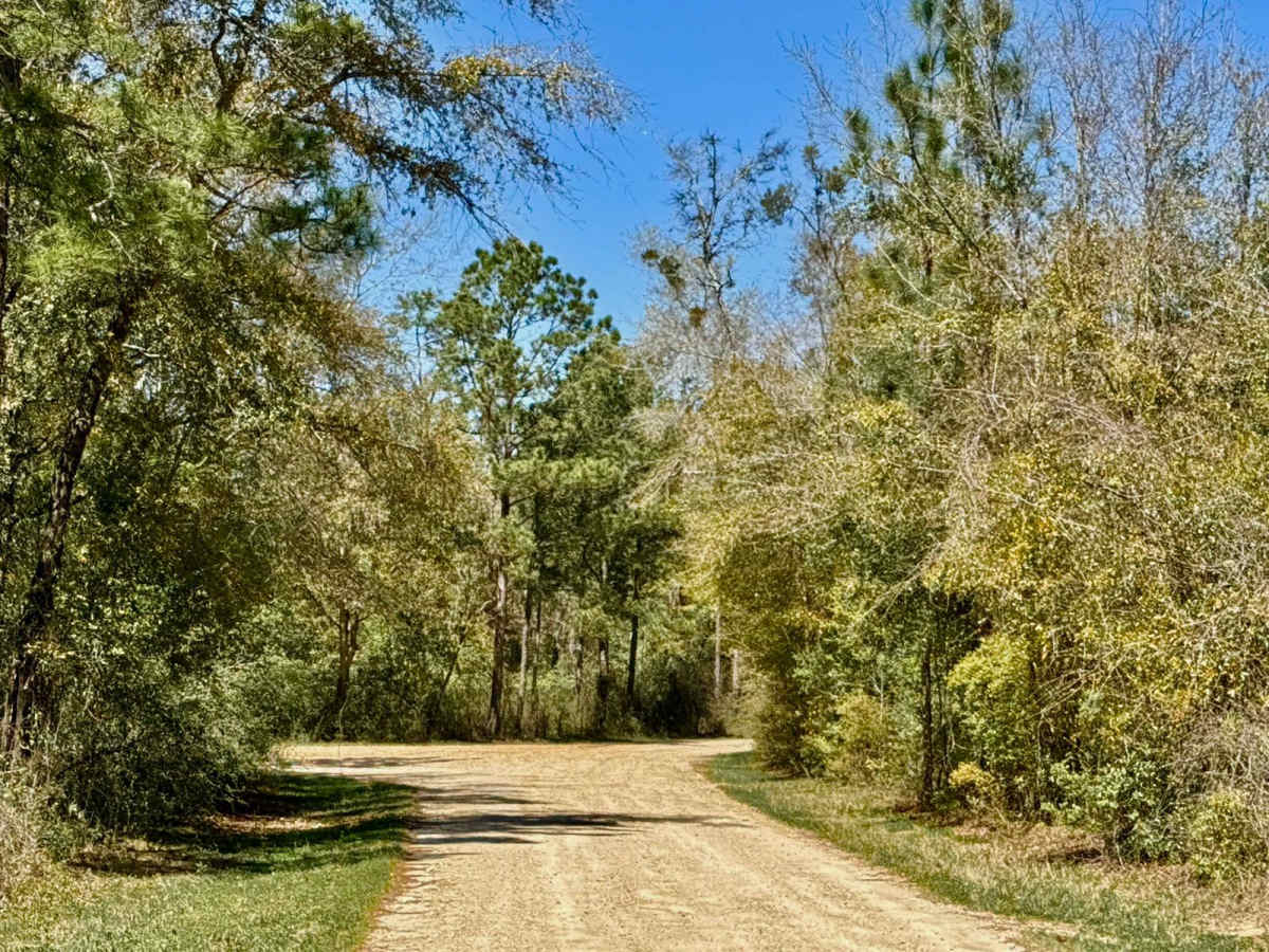 Turkey Flat Road photo 3