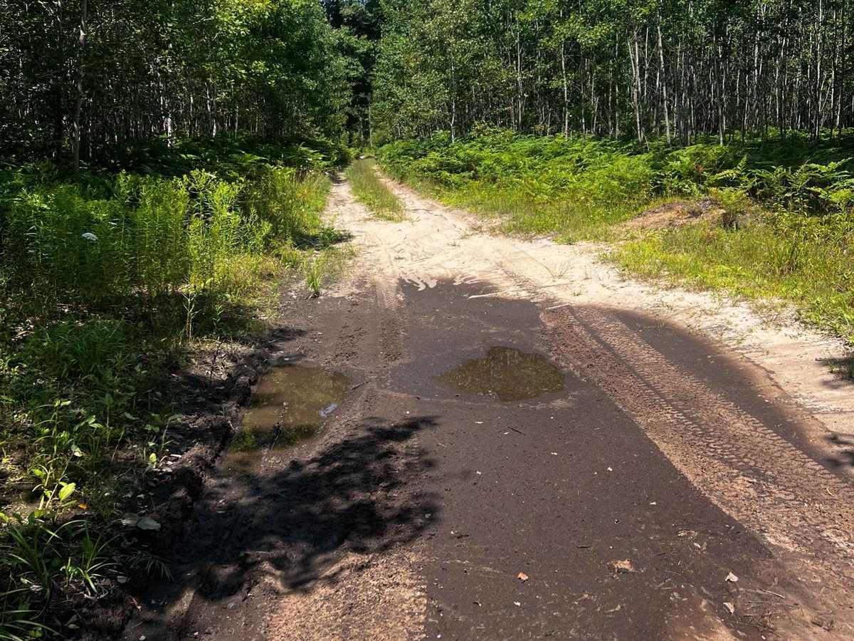 River Camp Trail trail photo