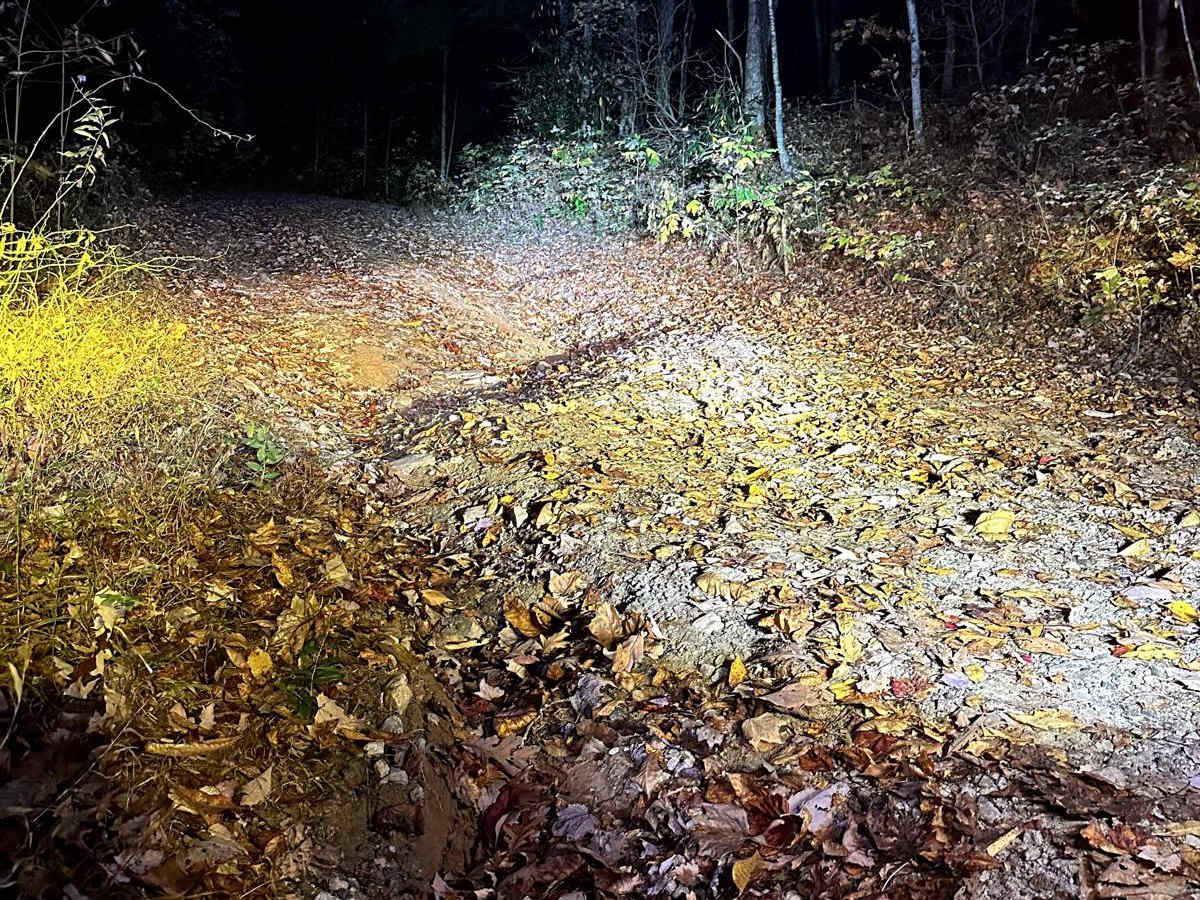 Walnut Fork photo 4