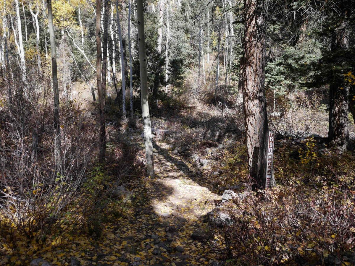 Horse Creek photo 6