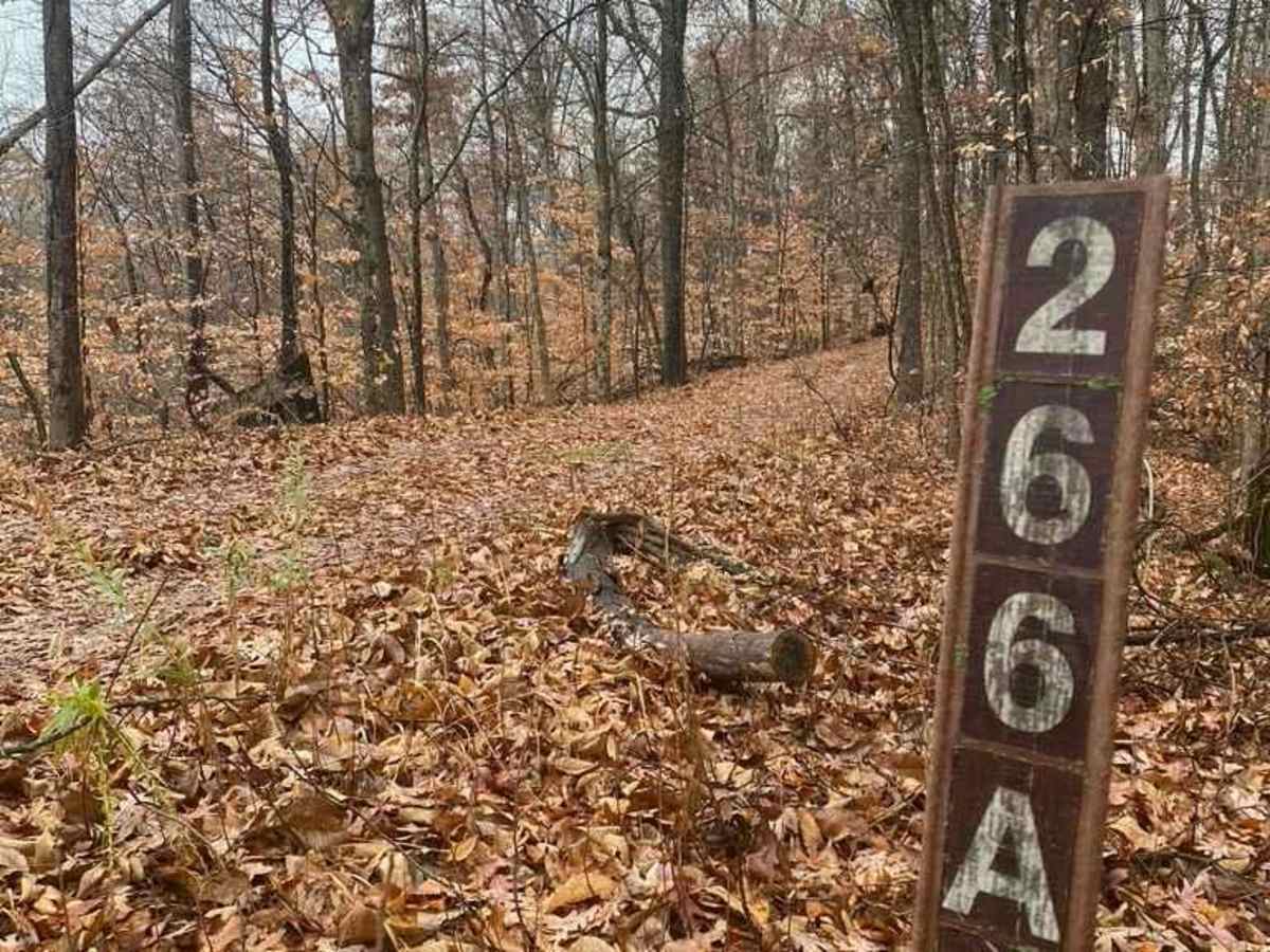 N Hamburg Hill Spur trail photo