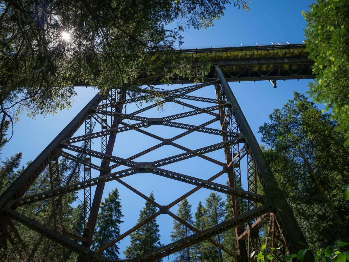 Bear Creek photo 4