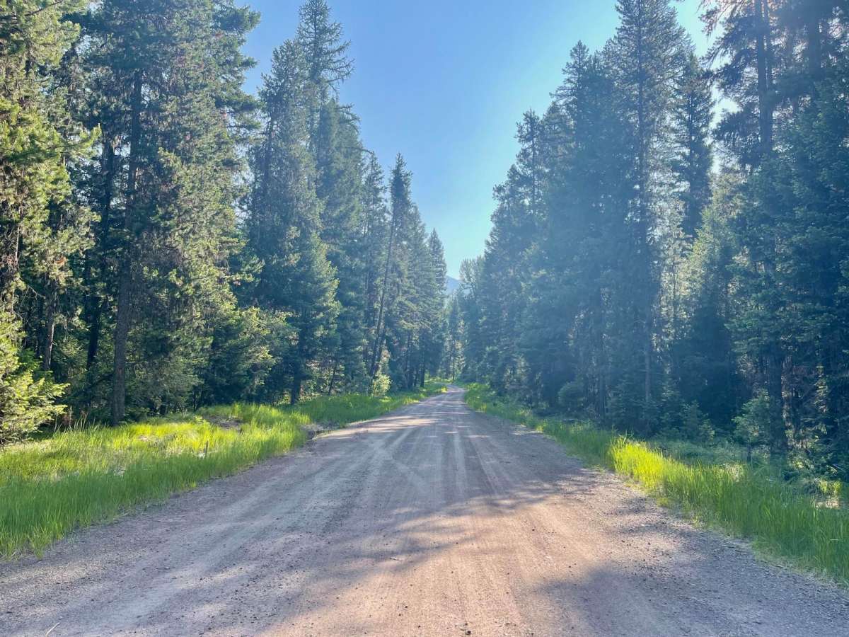 Morrell- Clearwater Lake photo 2