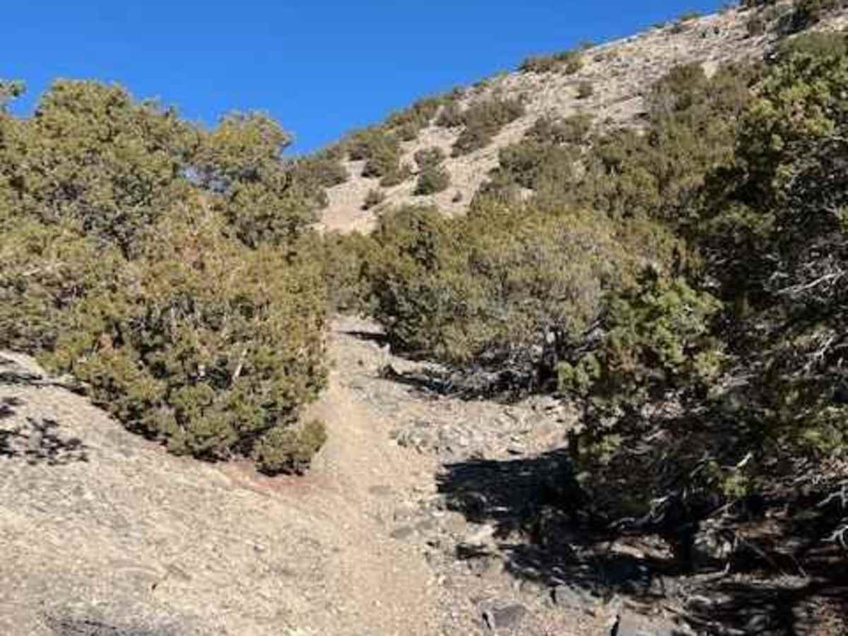 Rib Cage Canyon Go-Around photo 2