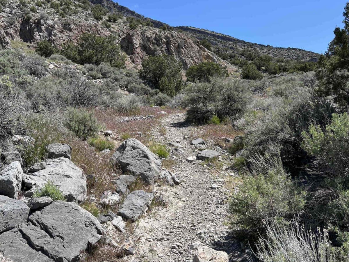 Foothills photo 3