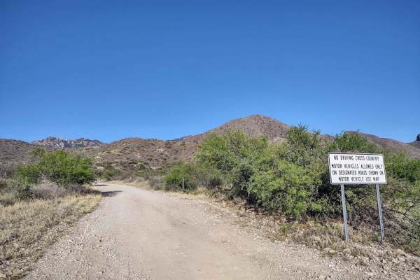 Forest Road 183