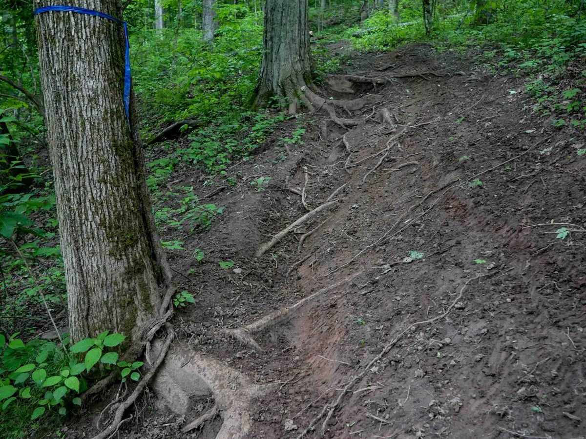 T19 trail photo