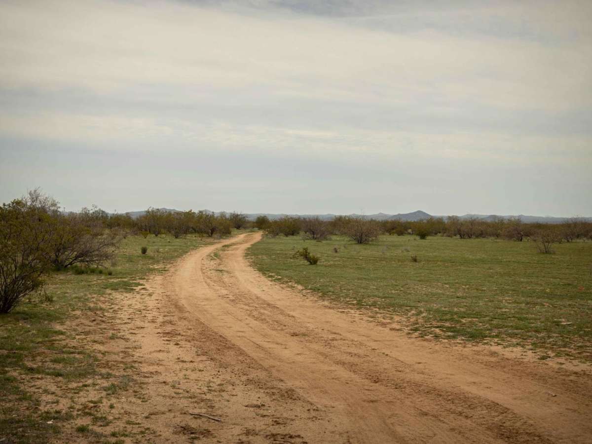 Southern Stroll trail photo