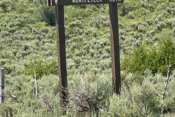 Wells Canyon