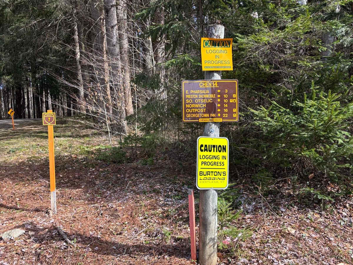 Old CCC Truck Trail photo 4