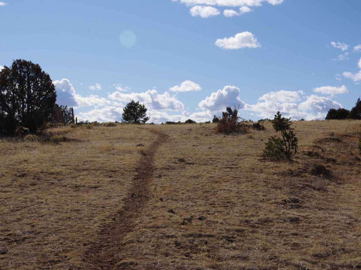 Rowe Mesa Loop photo 6