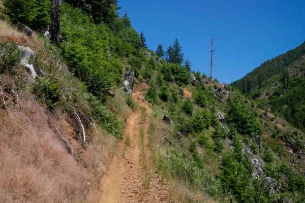 Jordan Creek #84 (Part 3)
