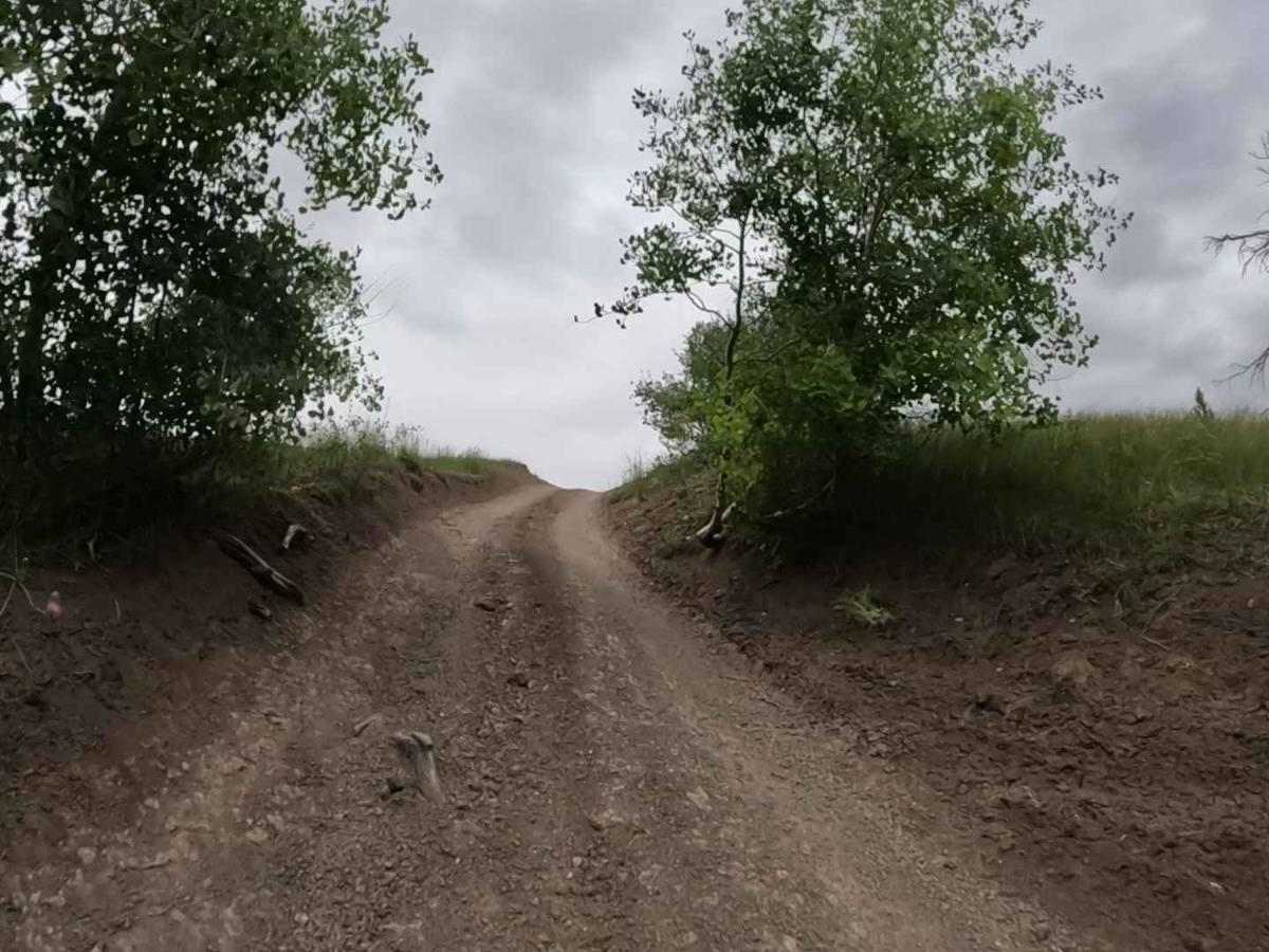 Willow Bunch photo 3