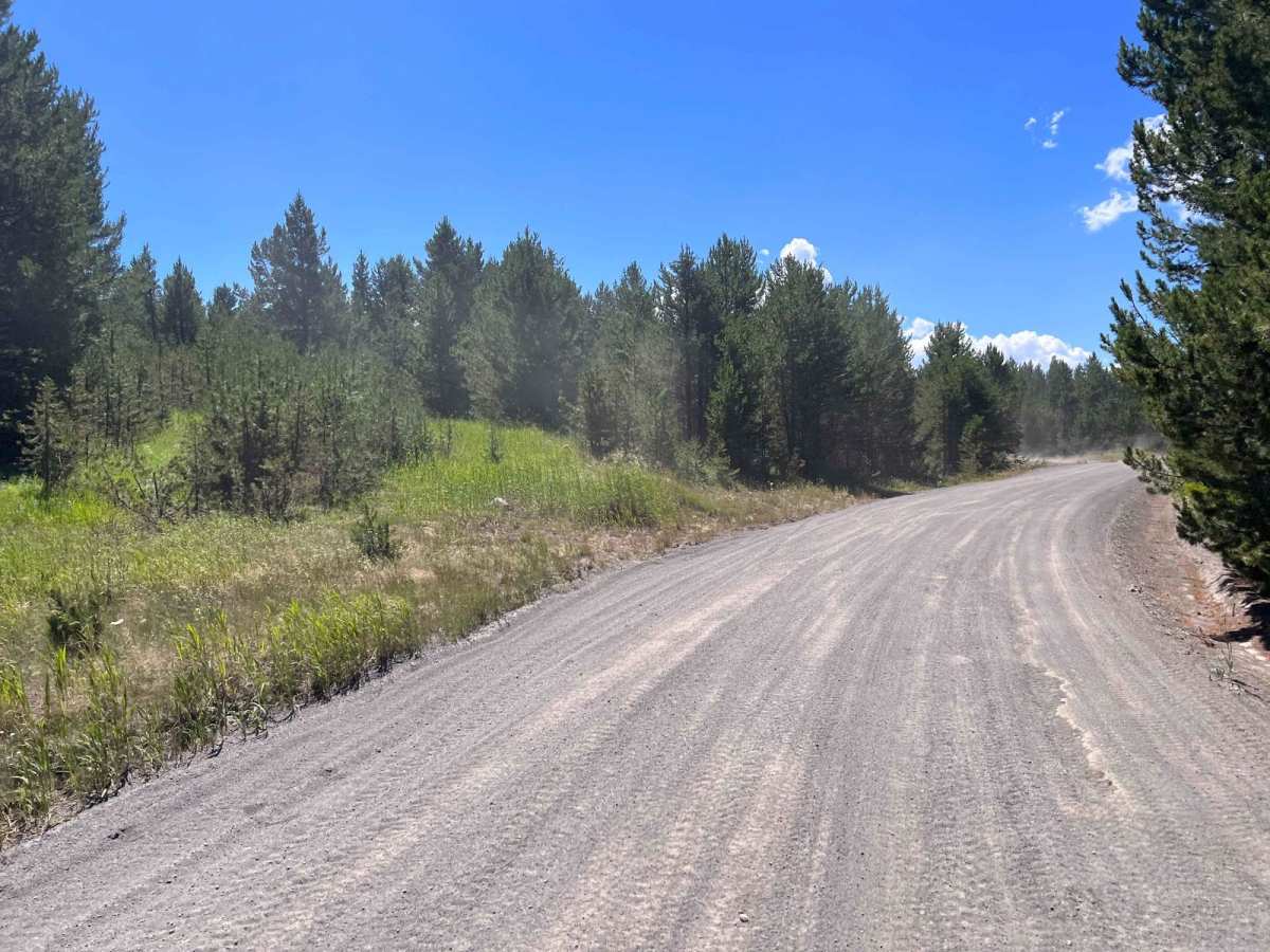South Fork Madison Road (478) photo 2