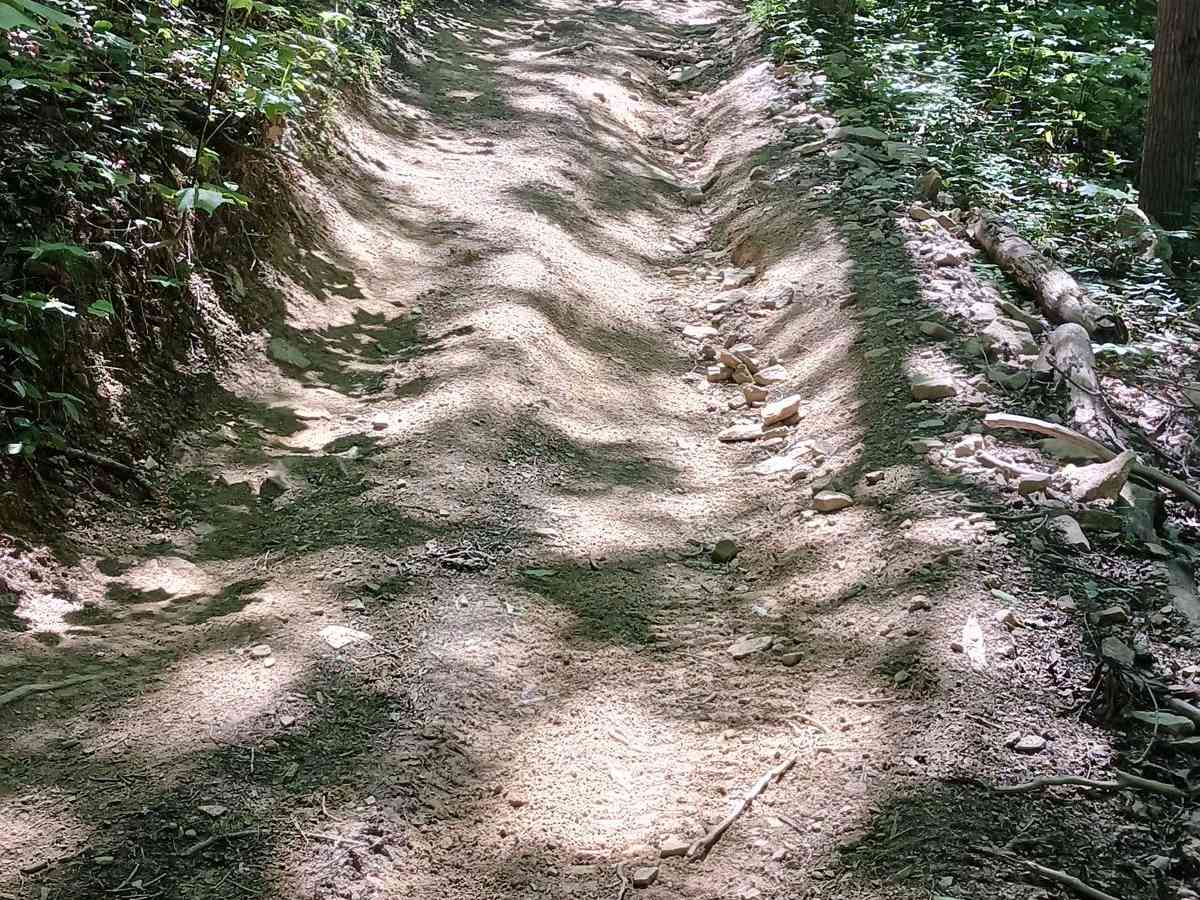 Gas Line Cut Off - Rock Run Recreation Area photo 4
