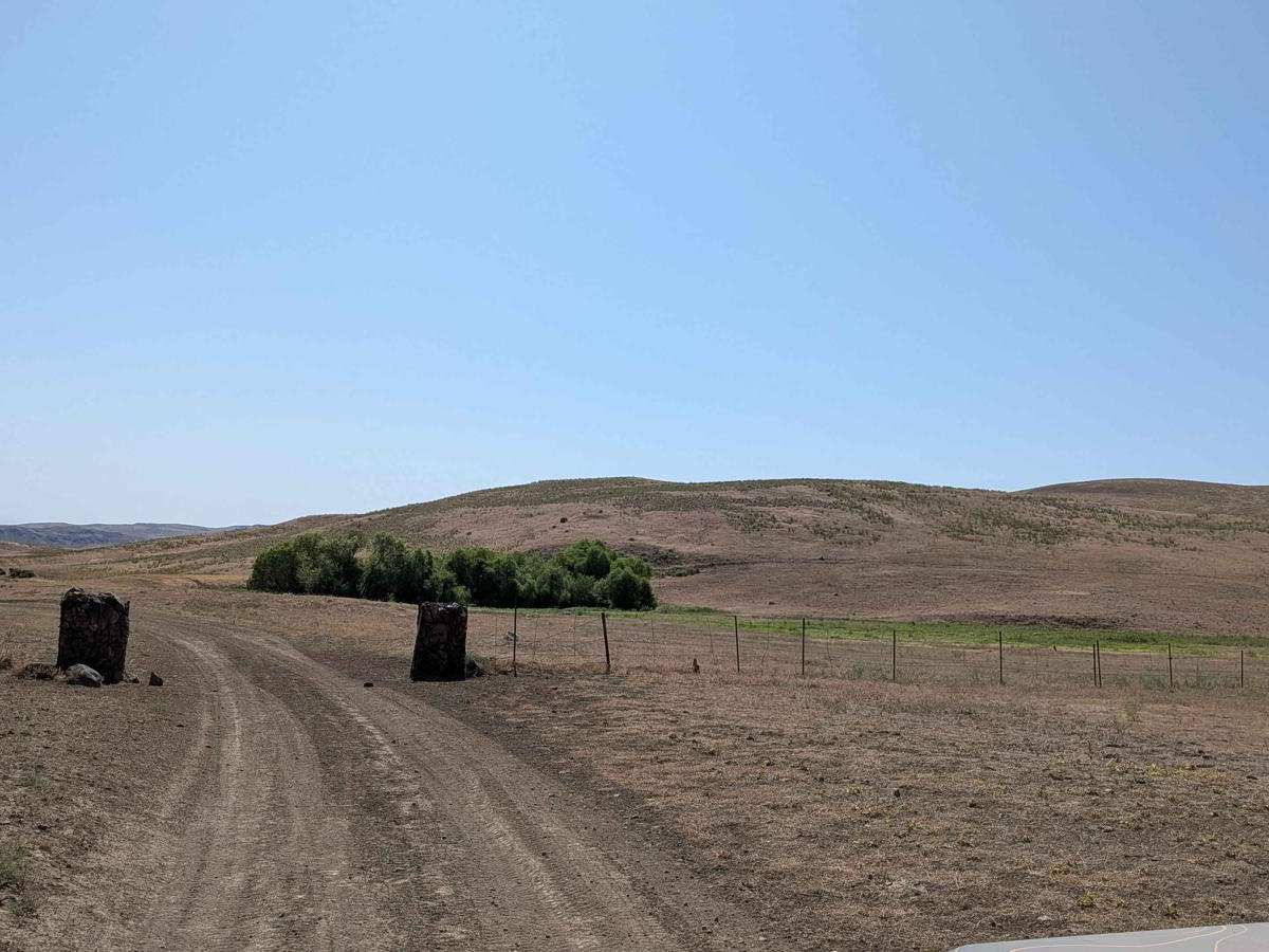 Camp Kettle Creek Road Trail photo 3