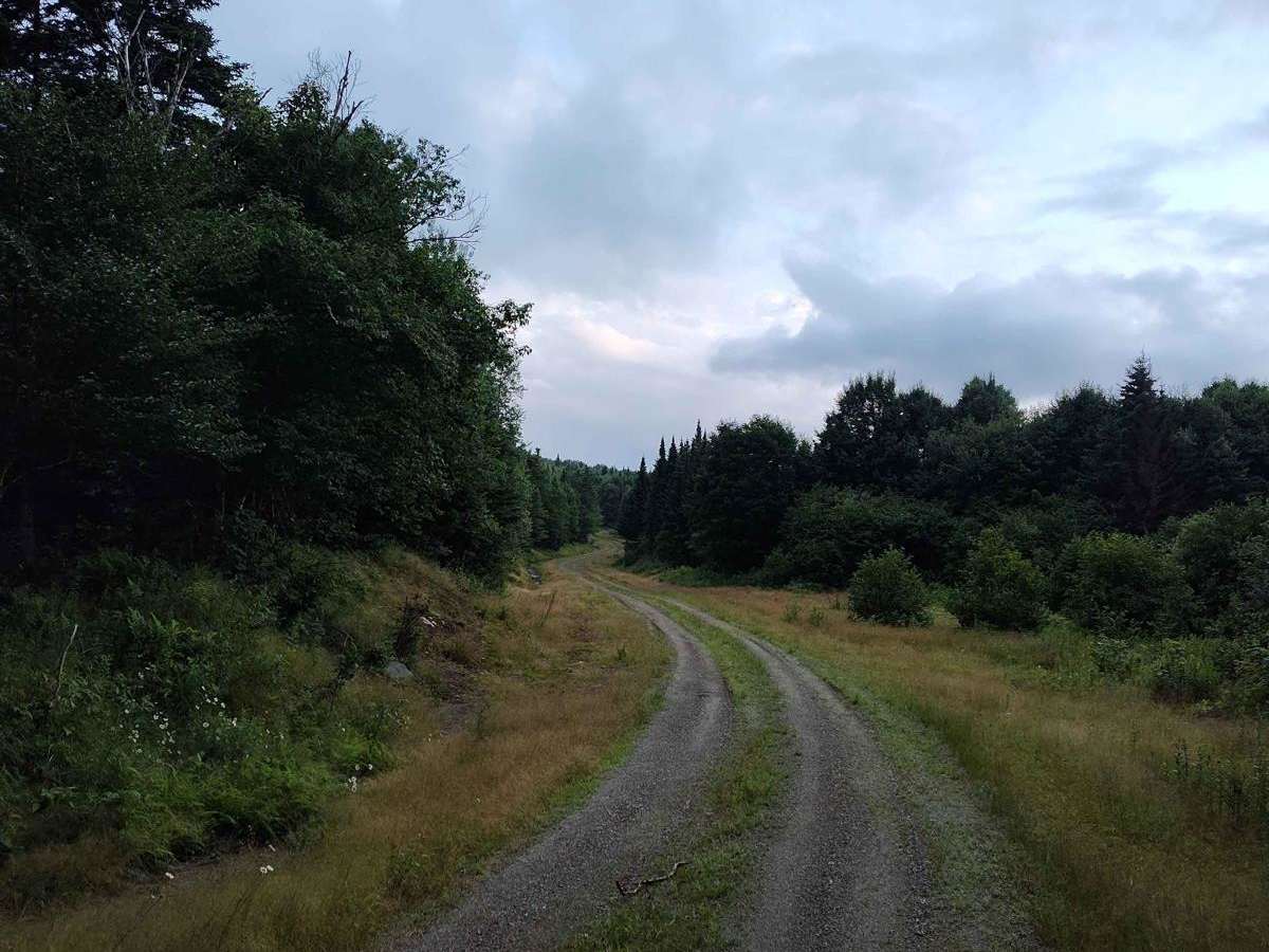 Meadow Brook Rd to Hawk Road photo 3