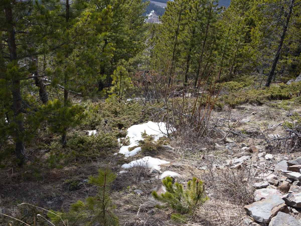 Quirk Ridge photo 6