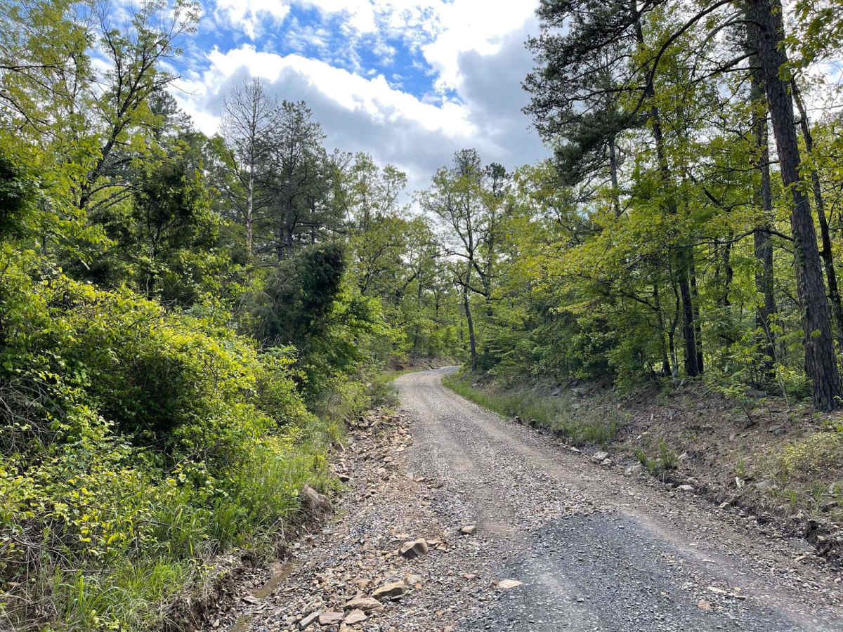 Scenic Richmond Road photo 5