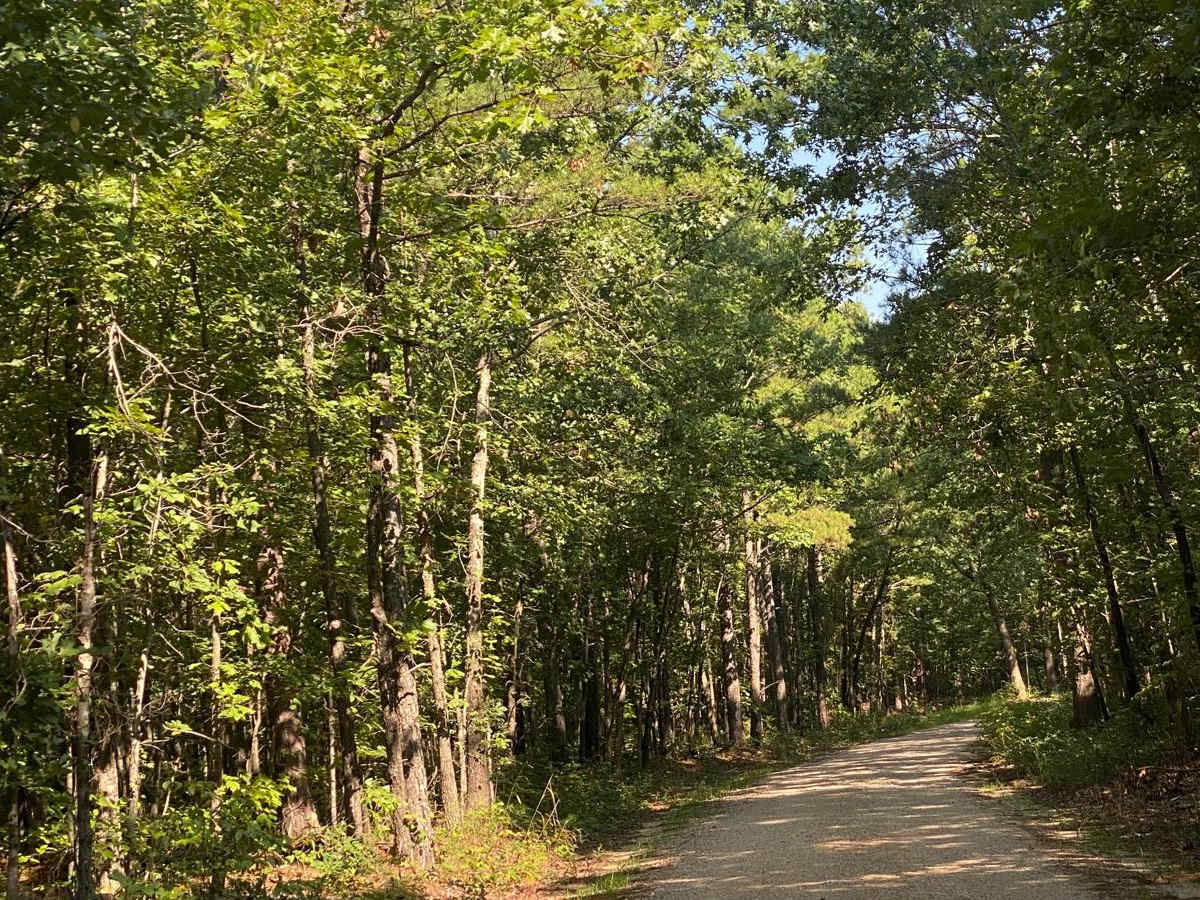 Bass River Scenic Route trail photo
