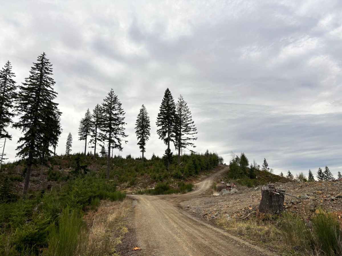 McGregor Road trail photo