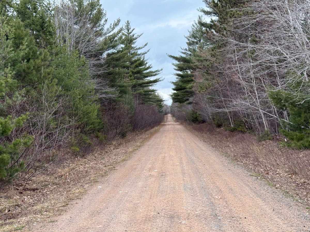 Mosher Road photo 3