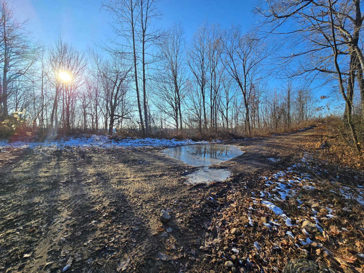 Right Fork of Hell's Creek to Hell's Knob photo 6