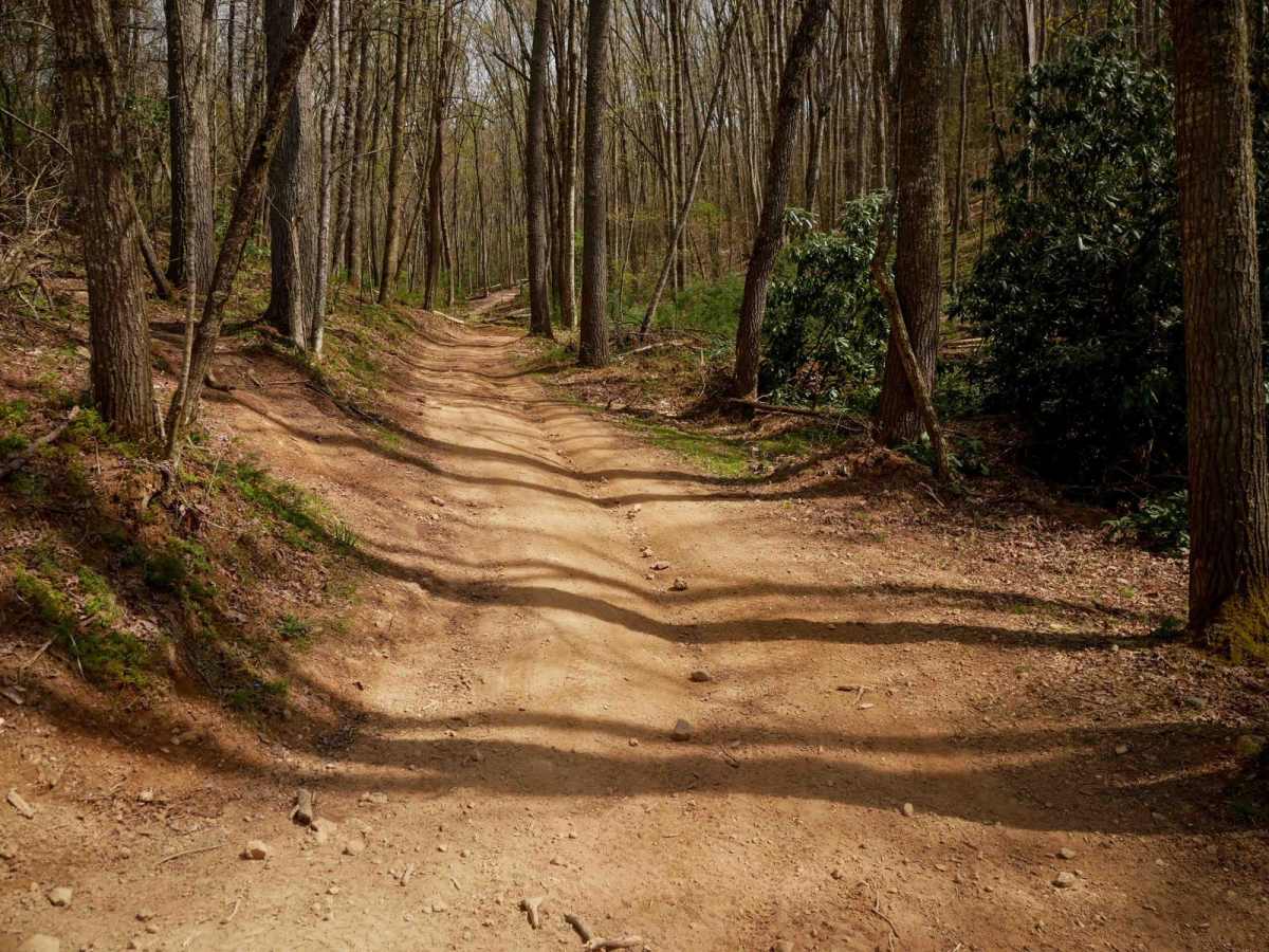 13 trail photo