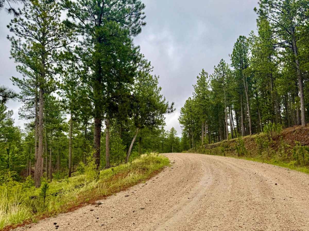 Battle Axe Road photo 6