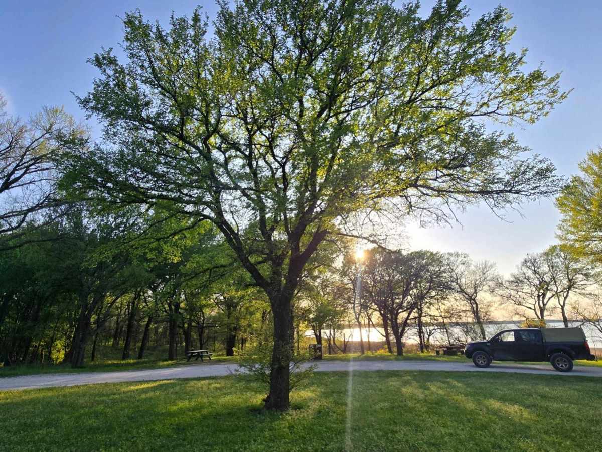 Wildlife Drive trail photo