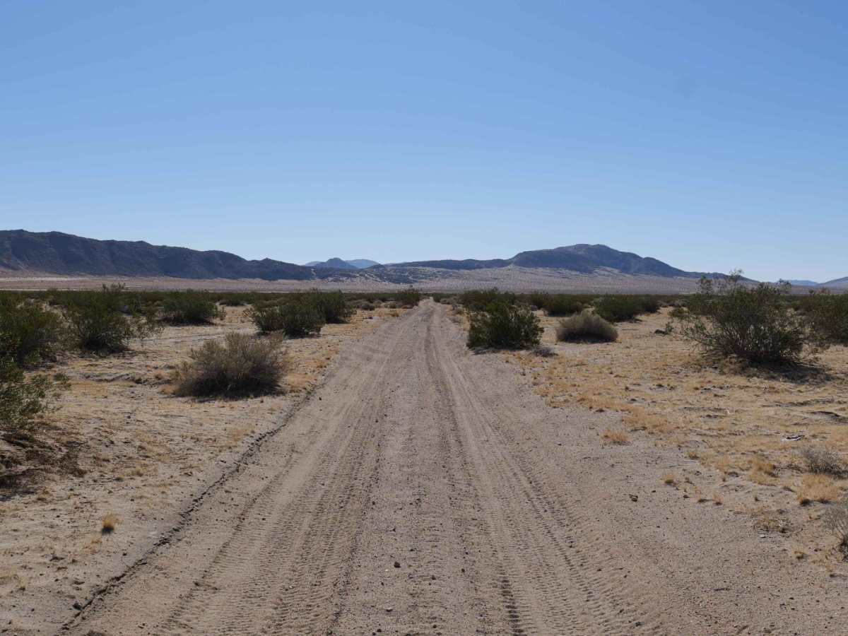 Sand Dune Expedition photo 2