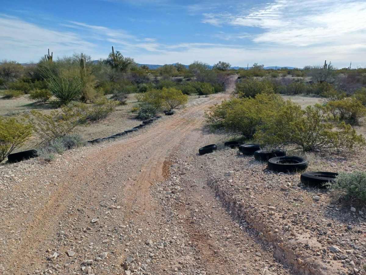 Rosedale Race Track trail photo