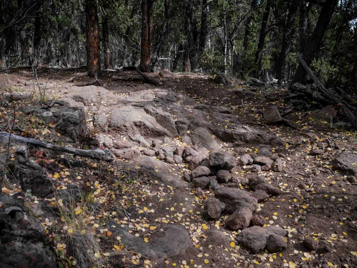 La Garita Creek Cutoff ATV trail photo