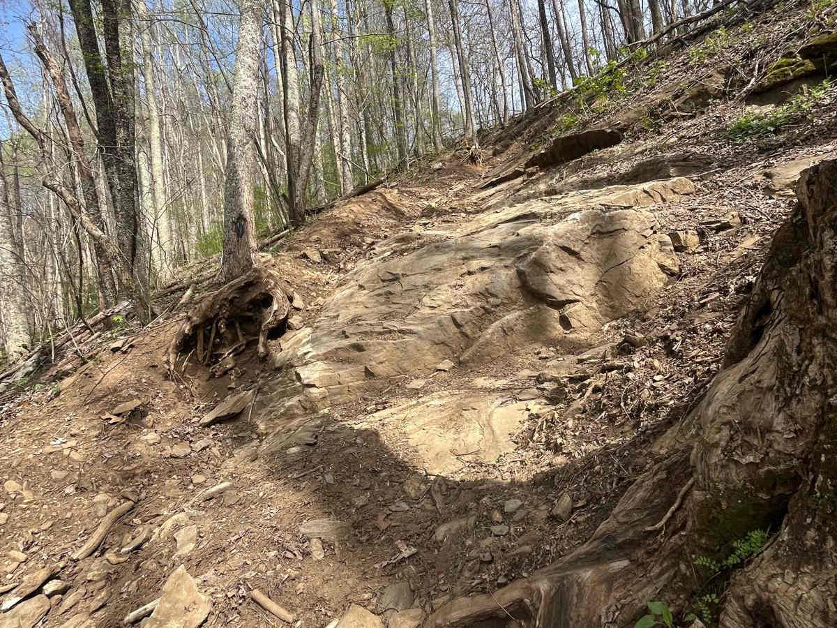 Devil's Backbone - 93B photo 3