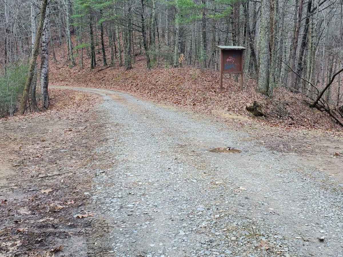 Stanley Gap - FSR 338 photo 4