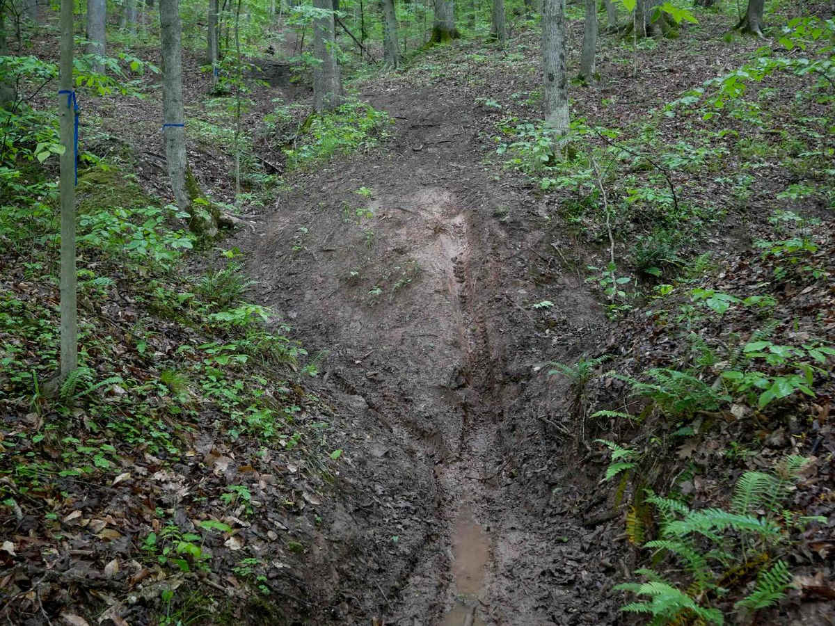 T69 trail photo