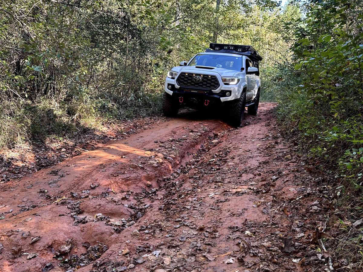 Montgomery Creek - FS 141 trail photo
