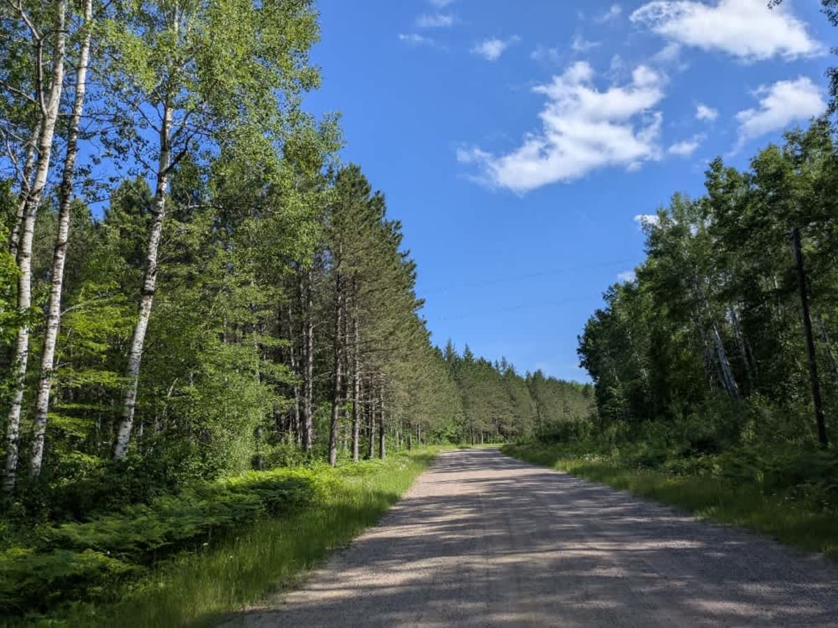 Dark Lake Road photo 4